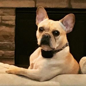 Meet your Posher, Jacquelyn